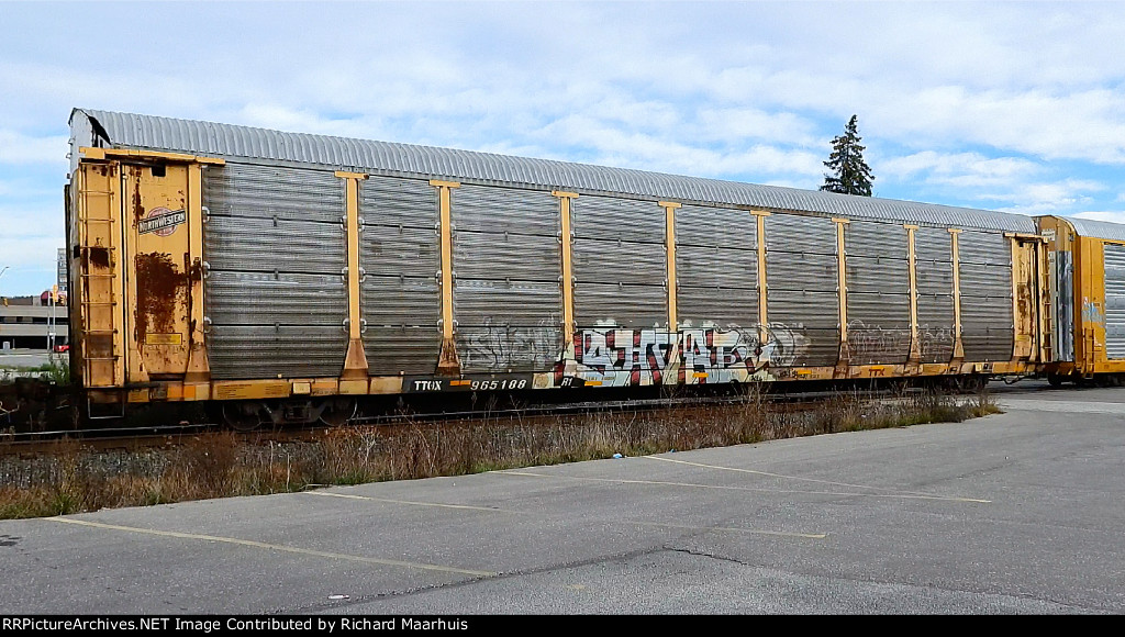 TTGX 965188